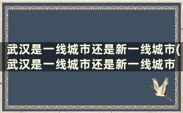 武汉是一线城市还是新一线城市(武汉是一线城市还是新一线城市 知乎)